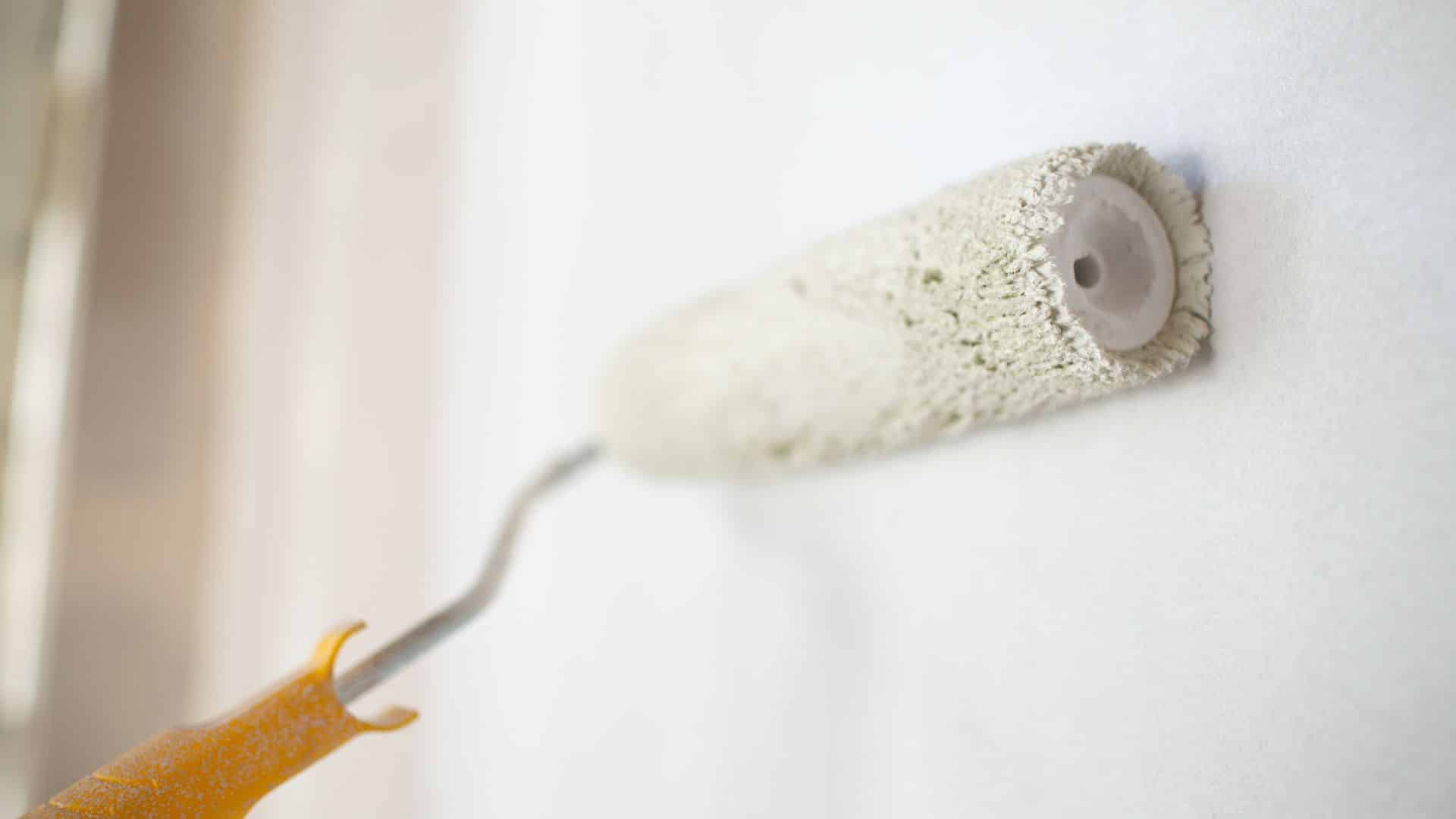 Cleaning & Maintenance